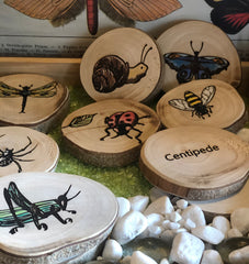 Insect Wooden Rounds