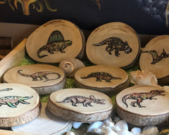 Dinosaur Wooden Rounds