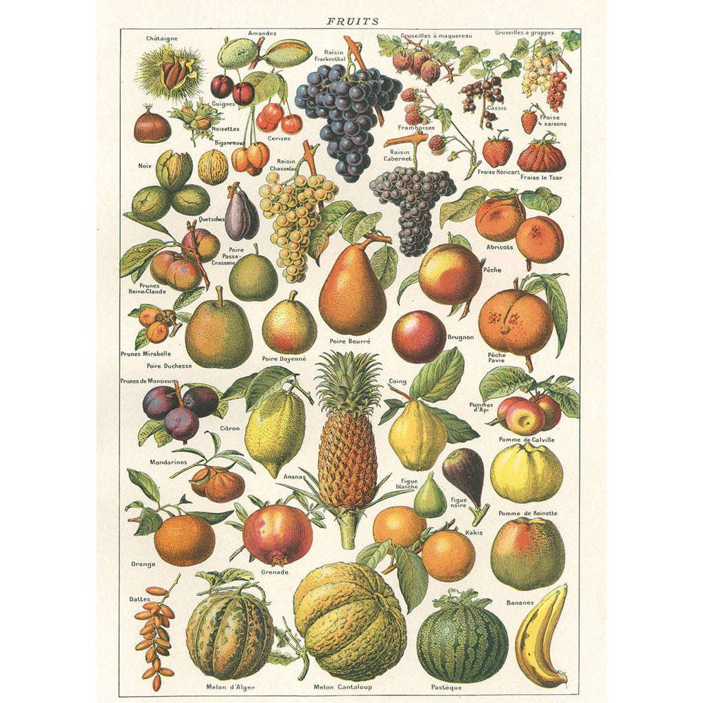 Vintage Poster Fruits