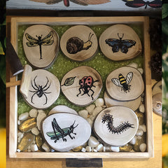 Insect Wooden Rounds