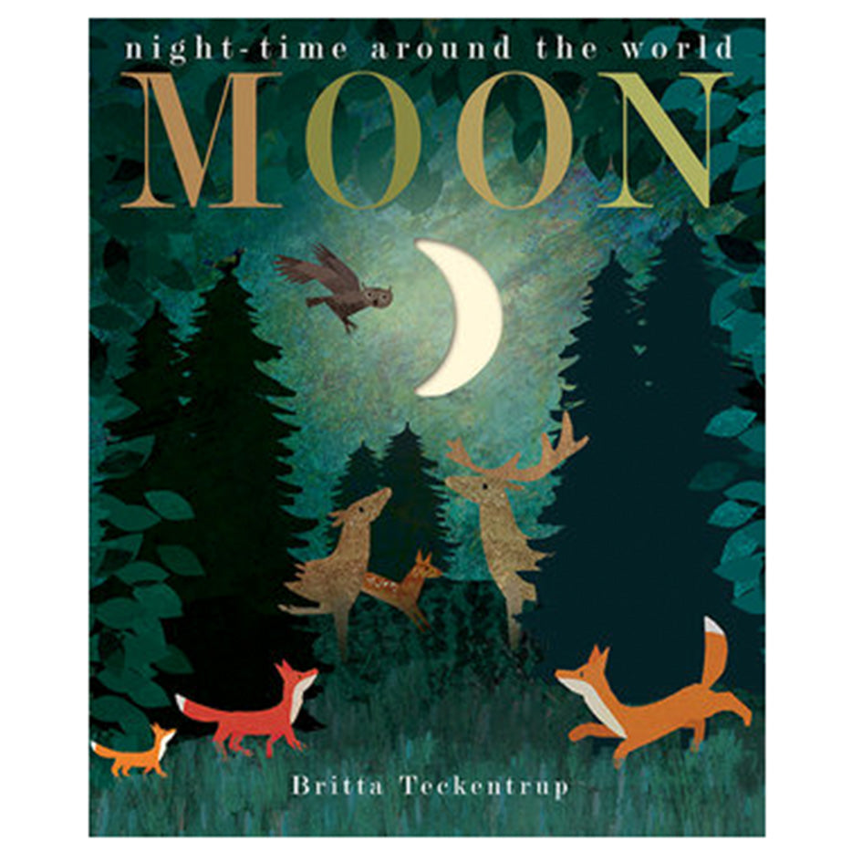 Moon - Night Time Around the World